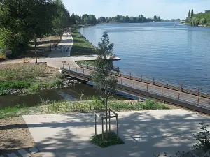 Berges Allier depuis pont, vers l'aval (Bellerive-sur-Allier)