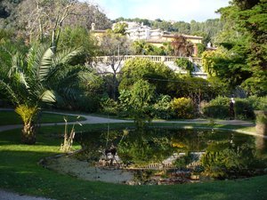 Illustration Jardin Fontana Rosa