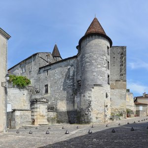 Illustration Château de Cognac