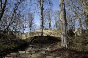 Illustration Forteresse de Montrond