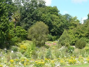 Illustration Jardin des Plantes de Caen