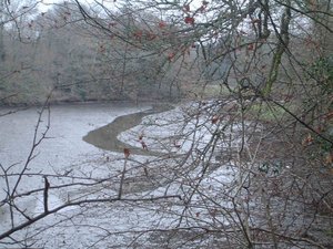 Illustration Le marais de Mousterlin
