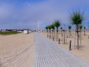 Illustration Plage de Riva-Bella