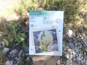 Illustration Sentier du Littoral
