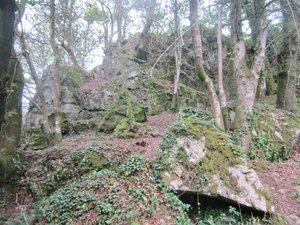 Illustration Le sentier des lavoirs