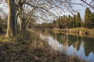 Illustration Canal du Midi