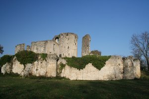 Illustration Château Dillon