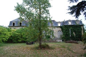 Illustration Château de Beauval