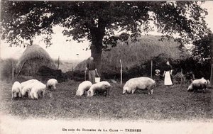 Illustration Domaine de la Séguinie