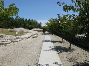 Illustration Jardin de la Marie