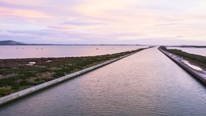 Illustration Le Canal du Rhône à Sète