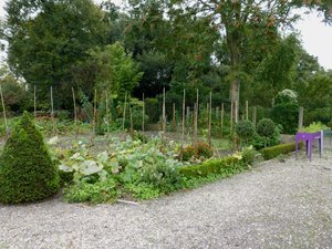 Illustration Le Jardin de la Forge