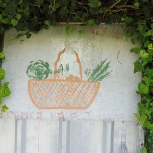 Illustration Le Jardin de la Syrie