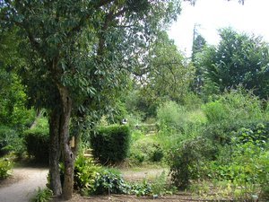 Illustration Le Jardin des Méditerranées