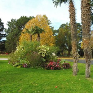 Illustration Le Parc Mauresque