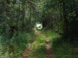 Illustration Le sentier de randonnée des bords de l'Hers