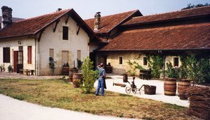 Illustration Musée de la Vigne et du Vin