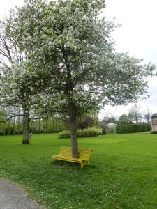 Illustration Parc de la Bretonnière
