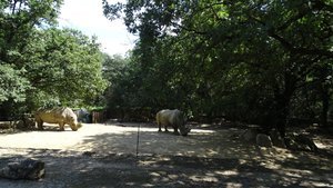 Illustration Parc du Vivier
