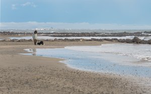 Illustration Plage des Aresquiers