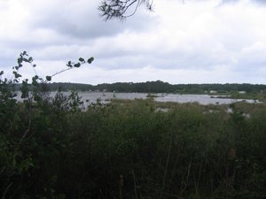 Illustration Réserve Naturelle de l'Étang de Cousseau