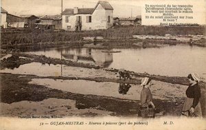 Illustration Réserve ornithologique du Teich